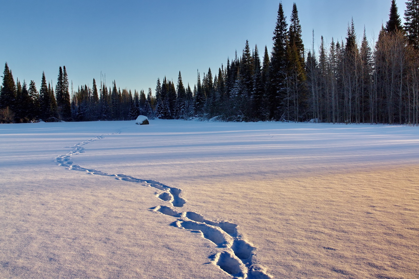 Зимним вечером.