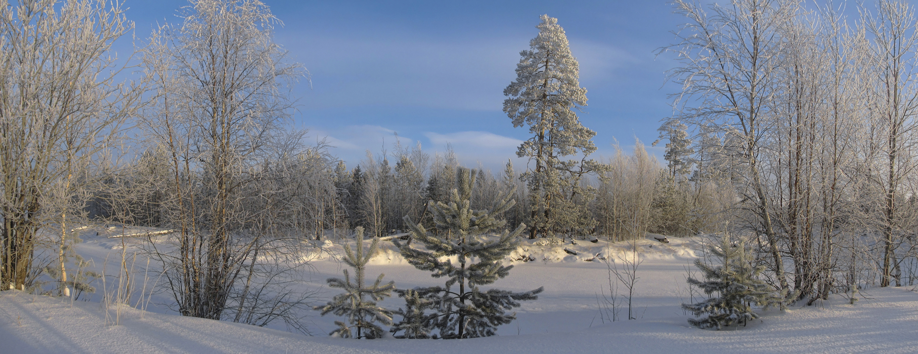 День зимний, солнечный, погожий...