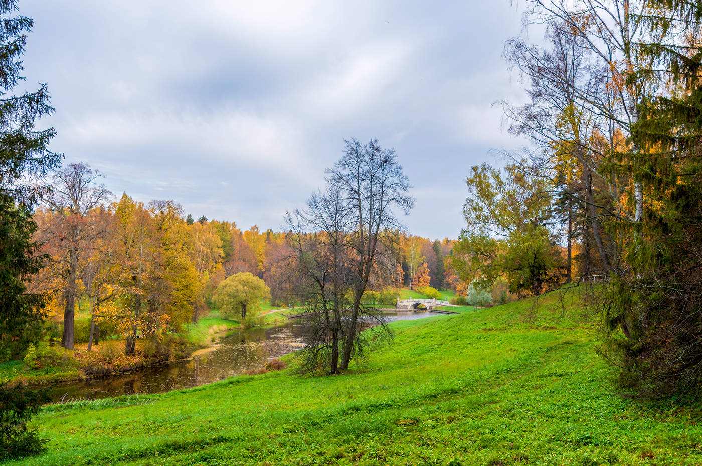 Павловский парк осенью.