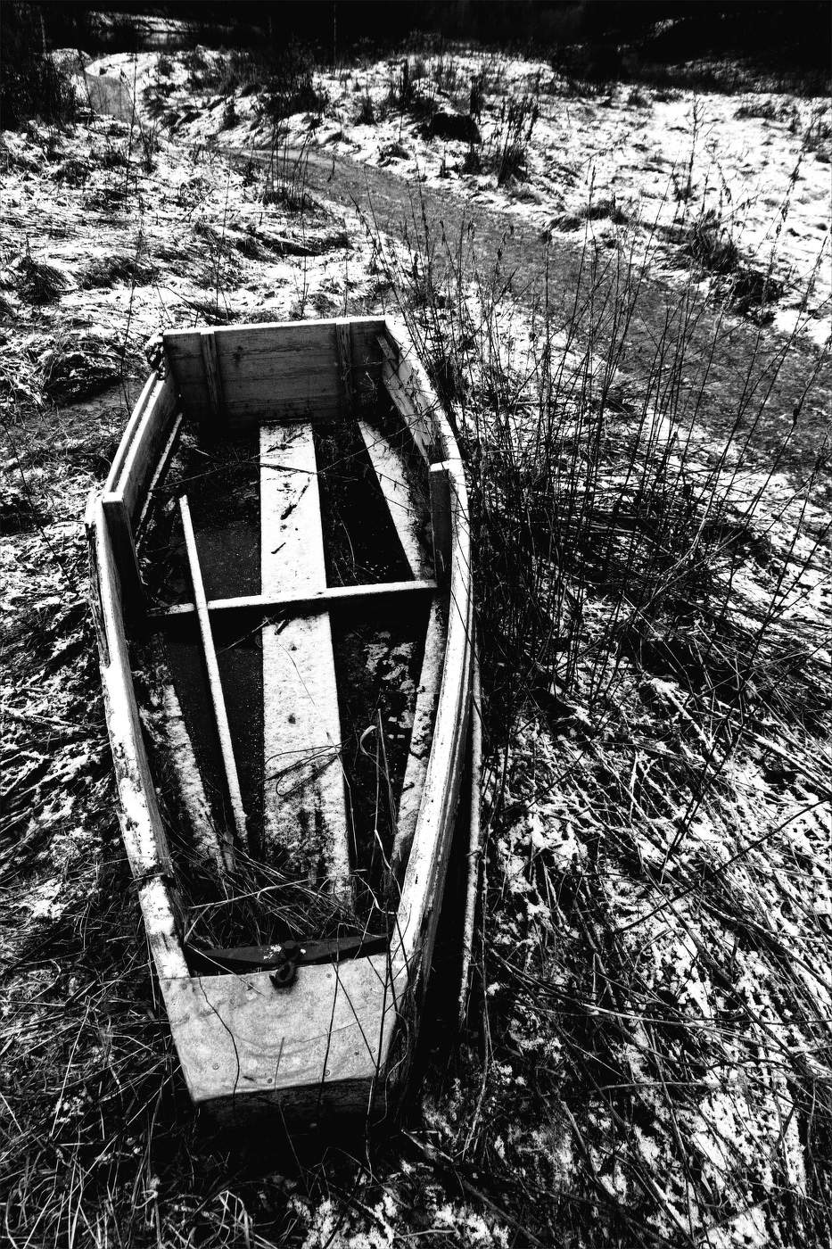 Жизнь вокруг