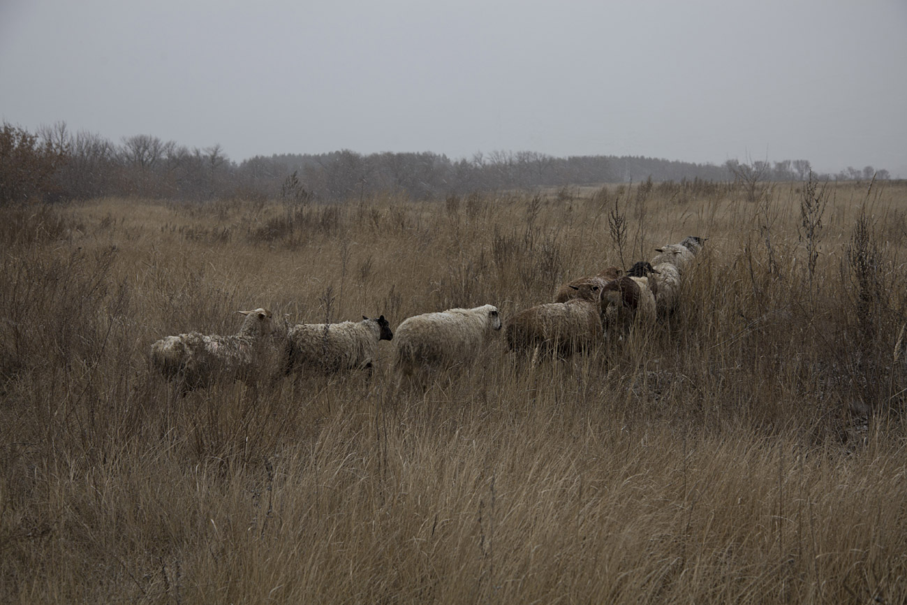 Вечерний променад