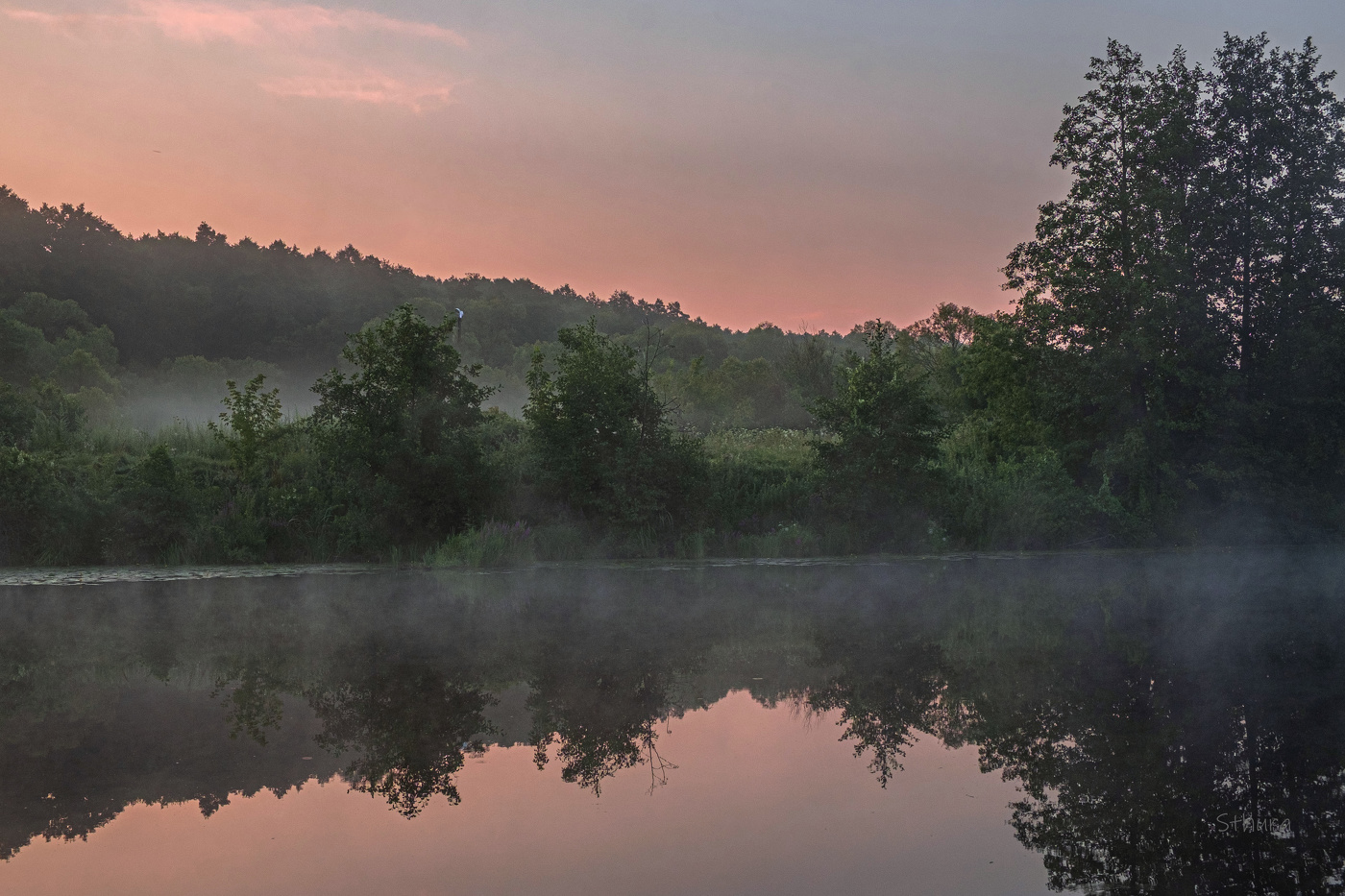 Летнее утро.