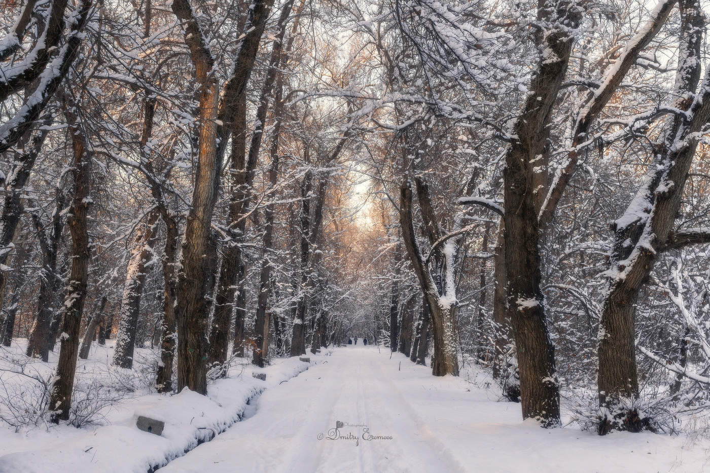 Застывшие в безмолвии...