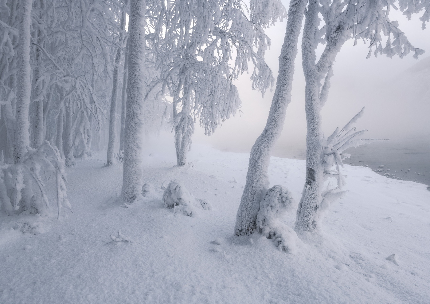 У парящей реки