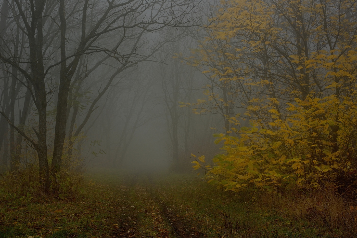 Осенний наряд