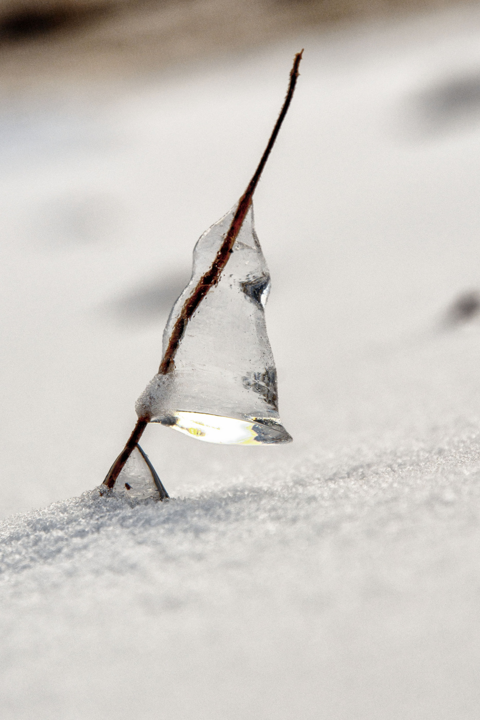 Жизнь вокруг