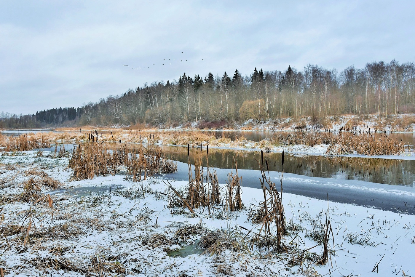 Декабрь в Подмосковье ...