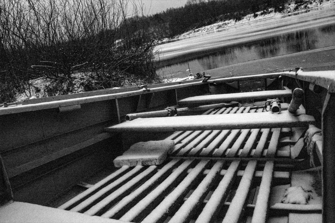 Жизнь вокруг