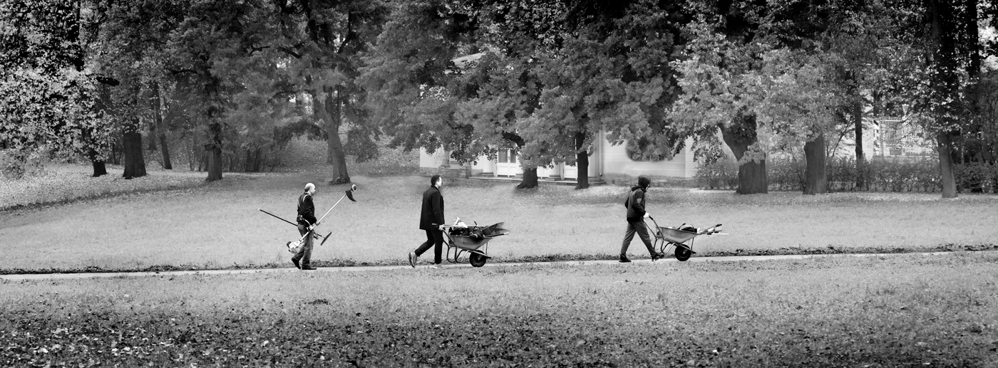 Царскосельские парки 9