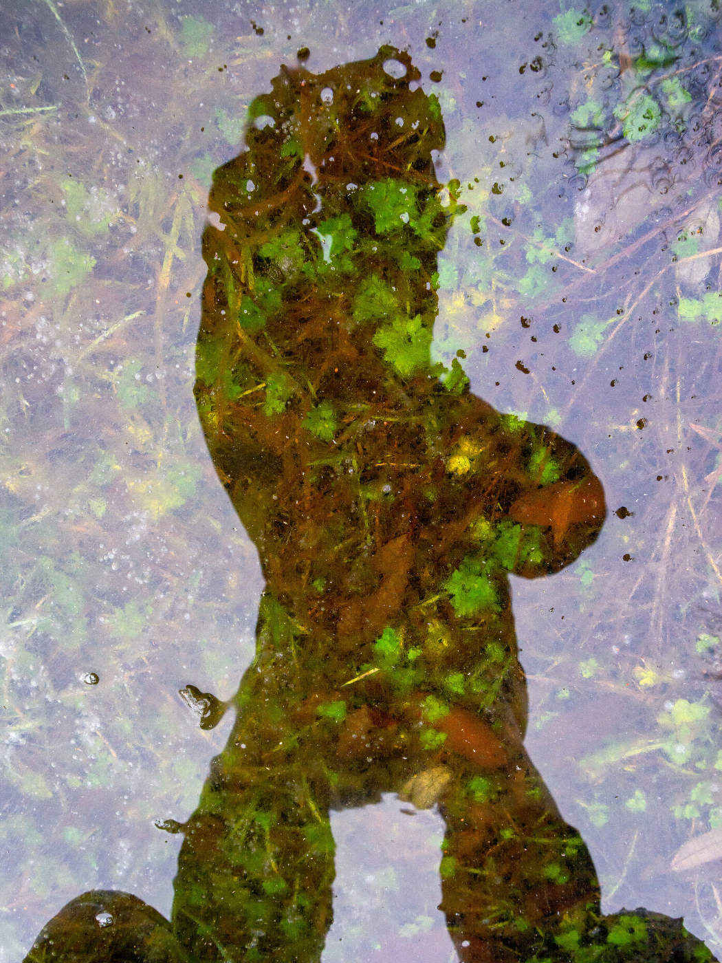 Пейзажизнь