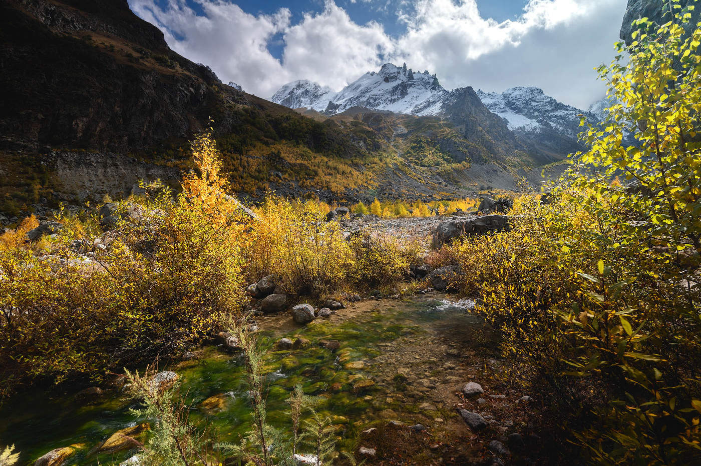 Горный родник