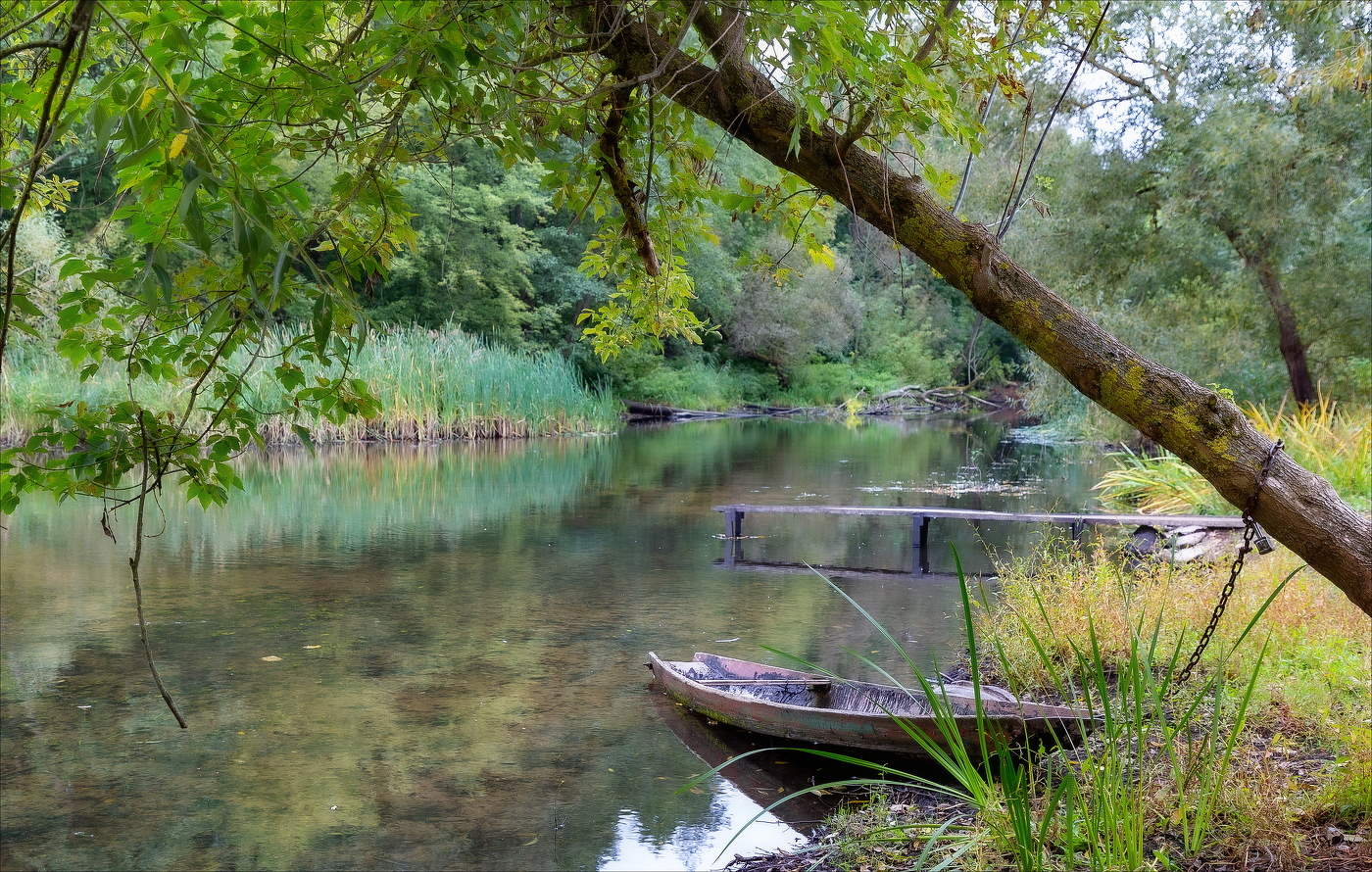 Стылая вода