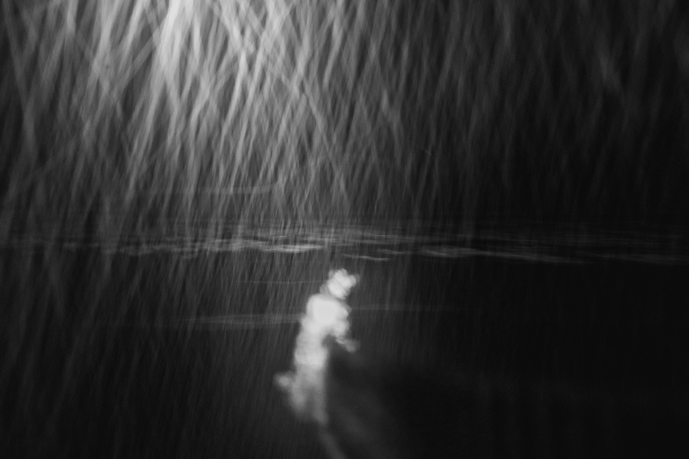 Жизнь вокруг