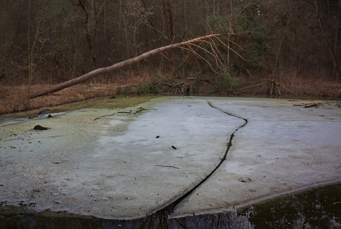 Апрельский сюжет