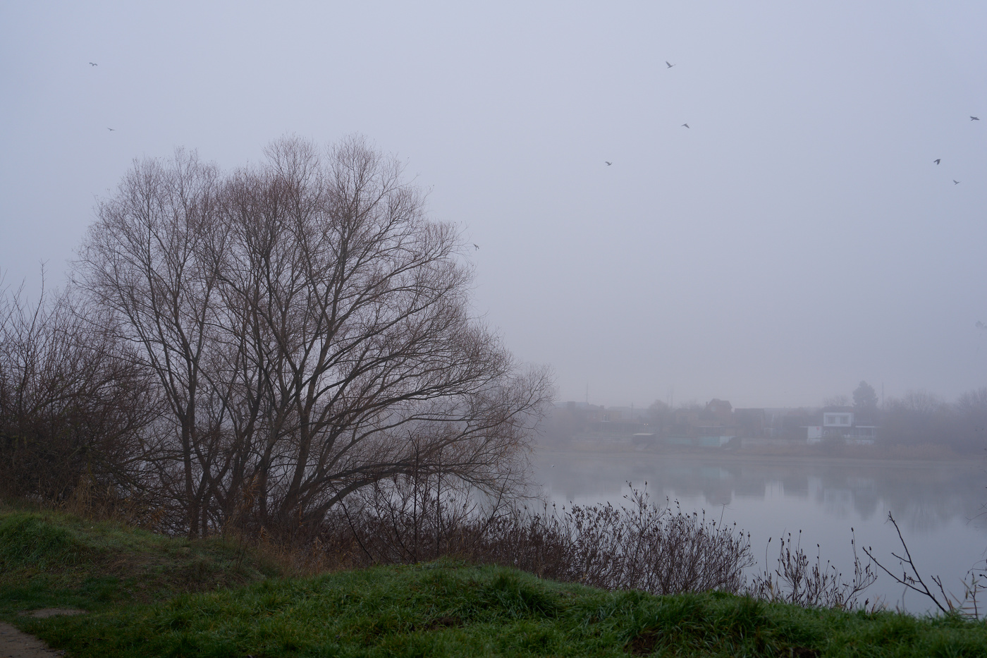 картина Грачи прилетели