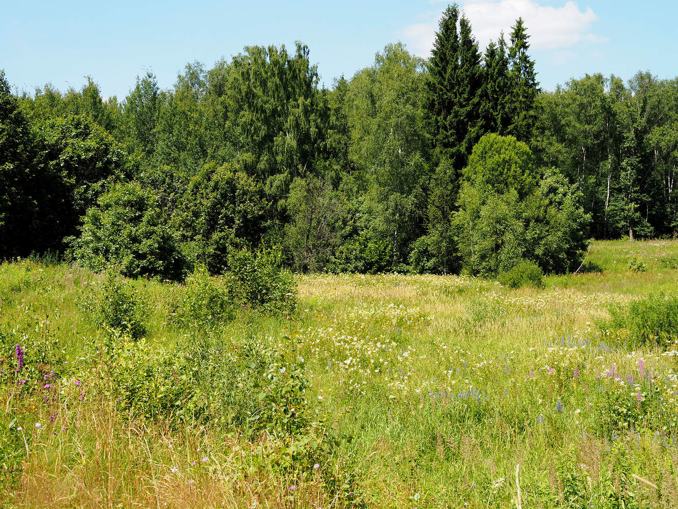 Подмосковье