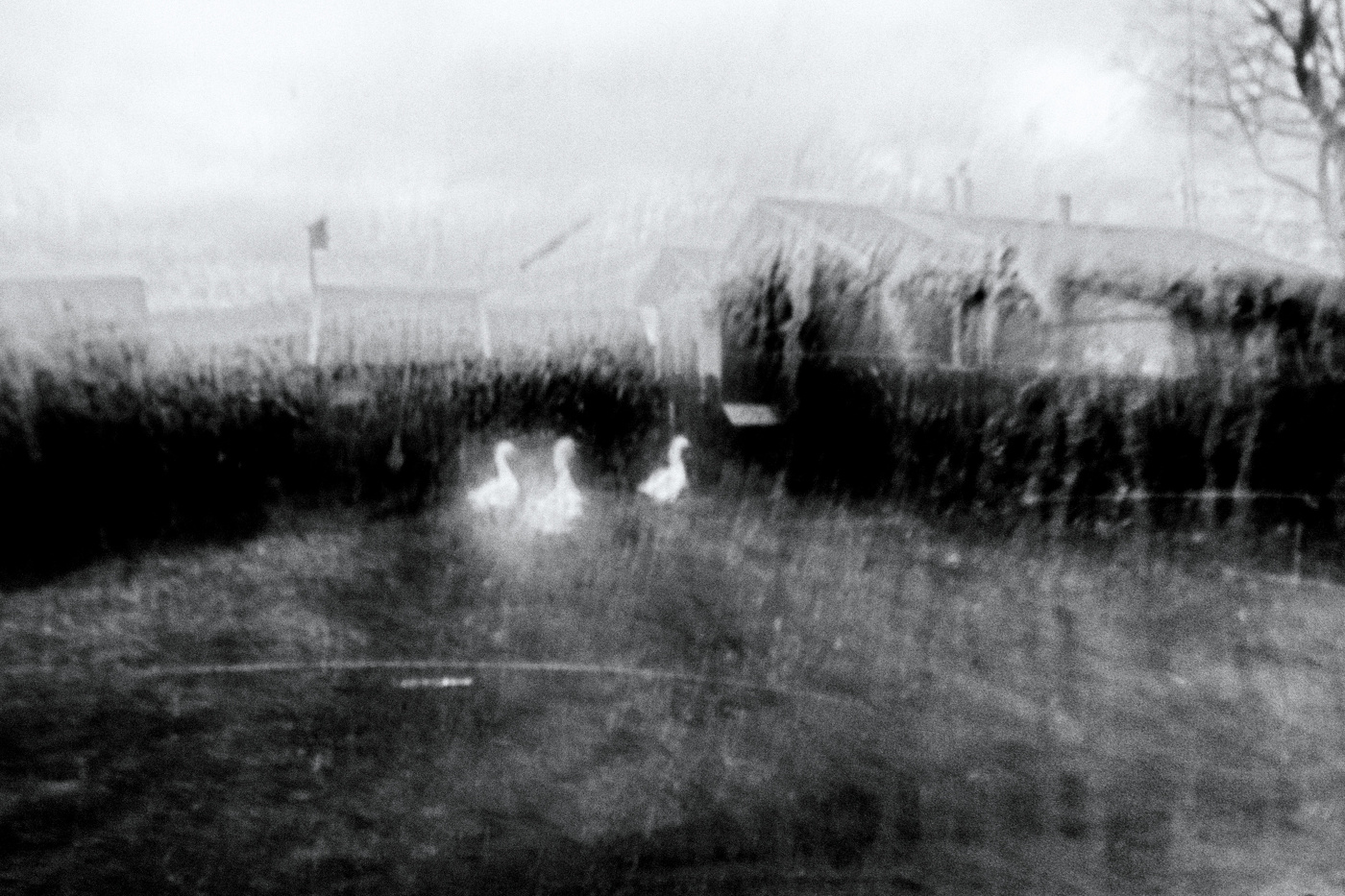 Жизнь вокруг