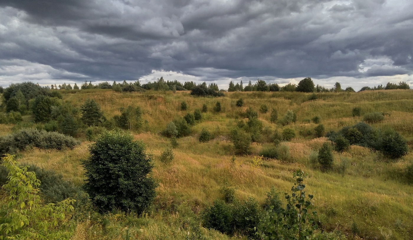 Августа молодёжь