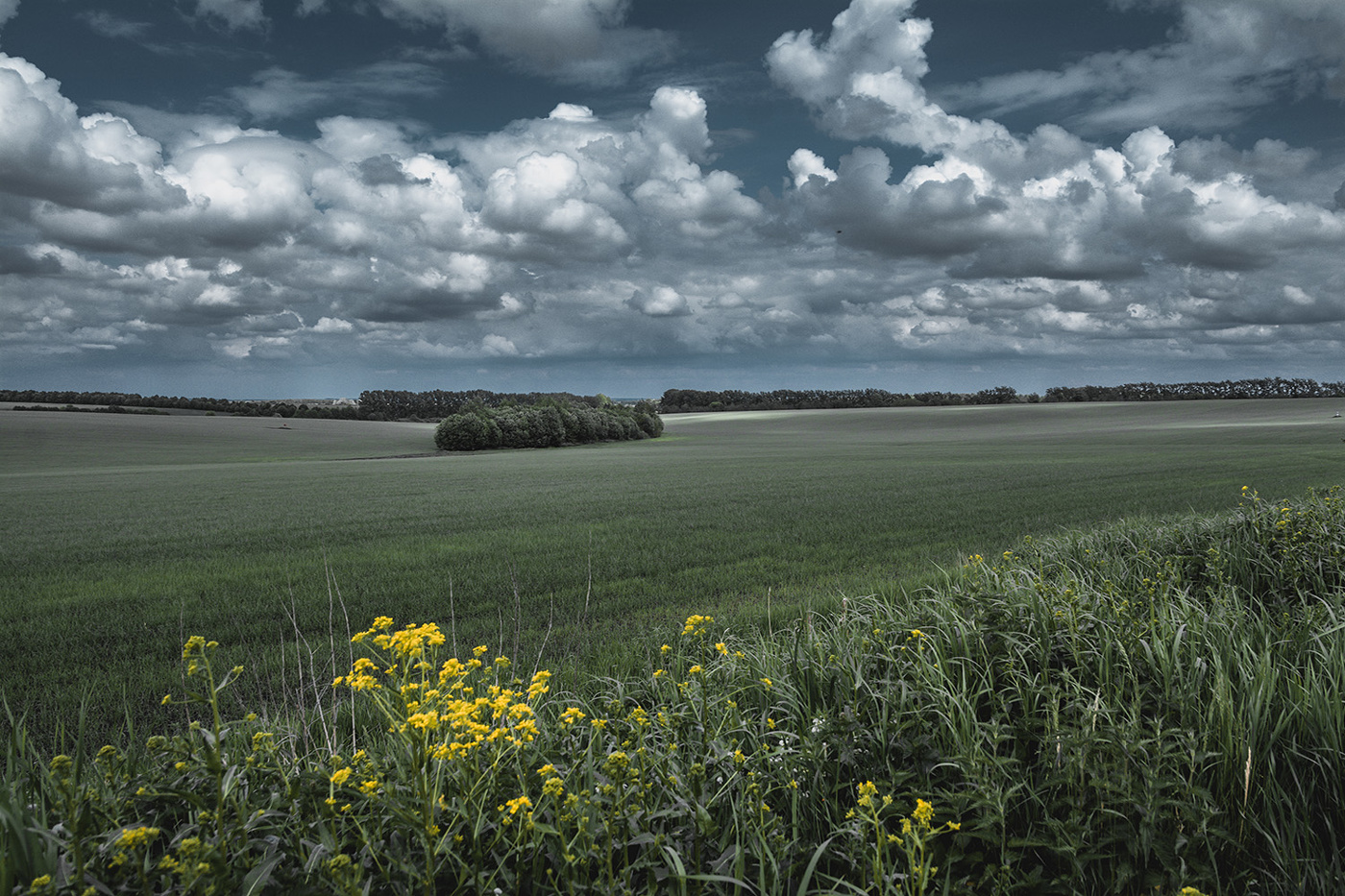 Просто пейзаж.