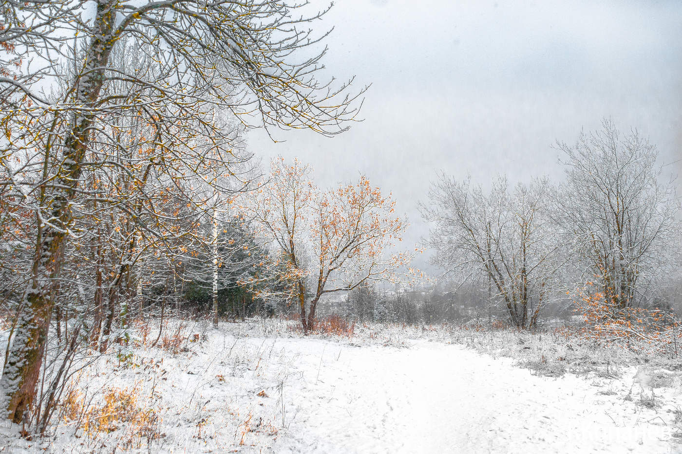 Холодный день