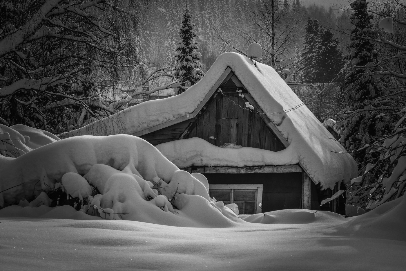 Зимние зарисовки