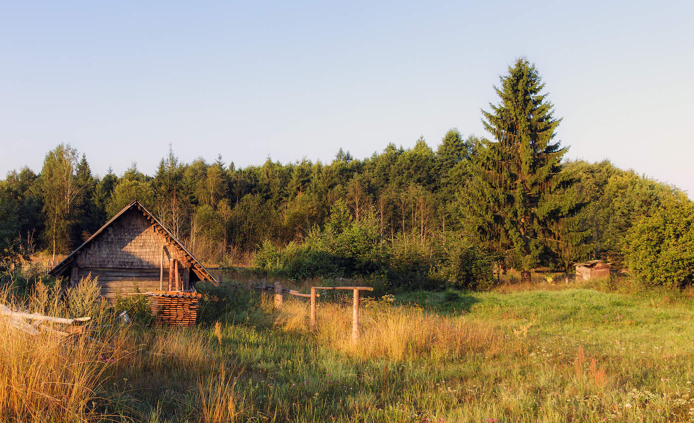 Летнее утро в деревне