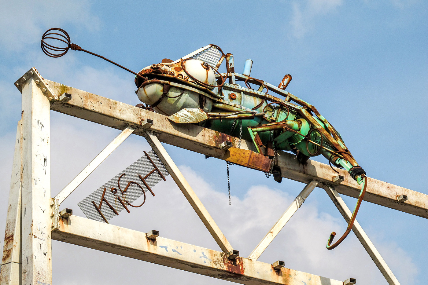 Chameleon metallicus