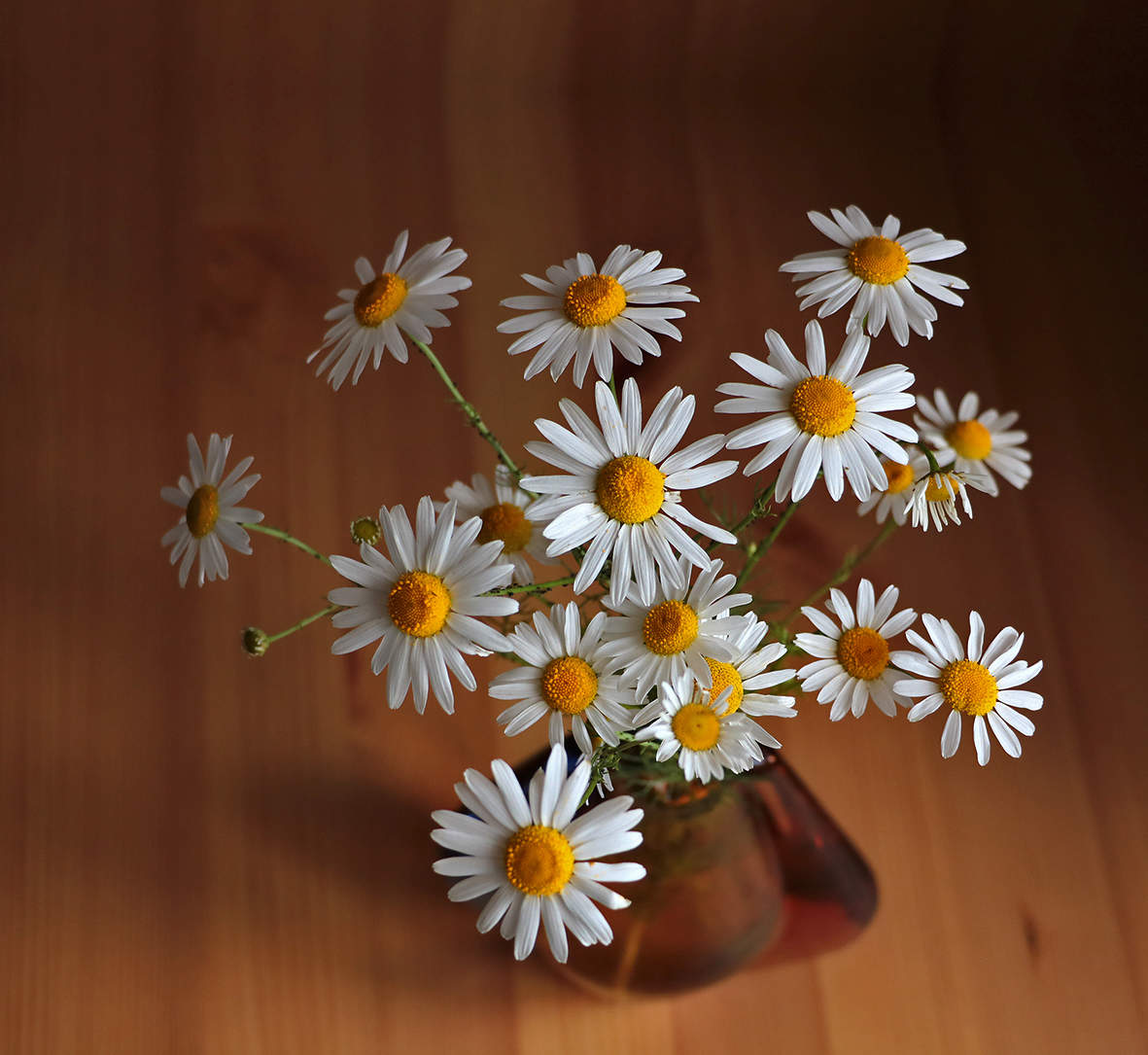 Скромный летний букетик