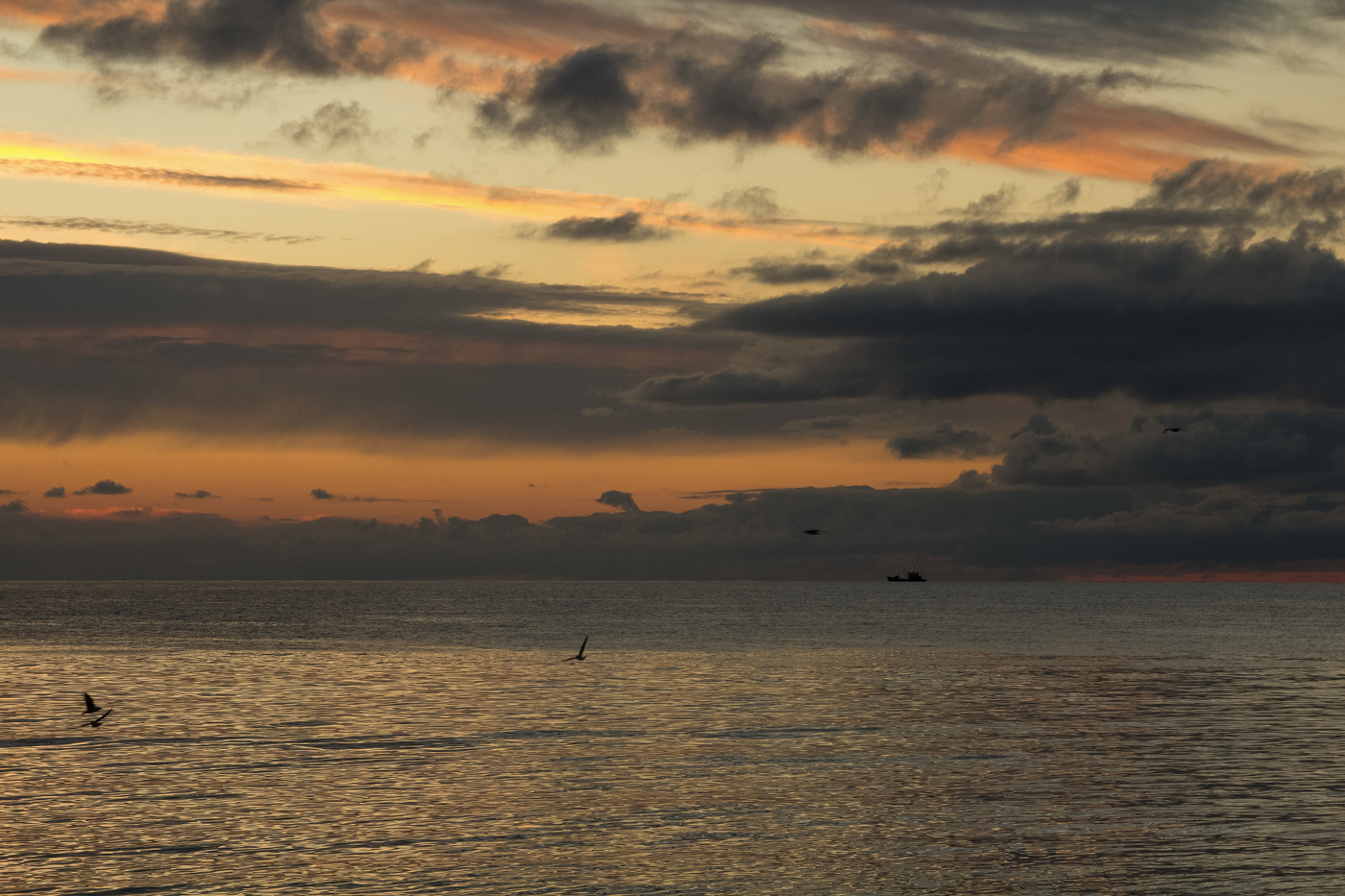 Путь назначения