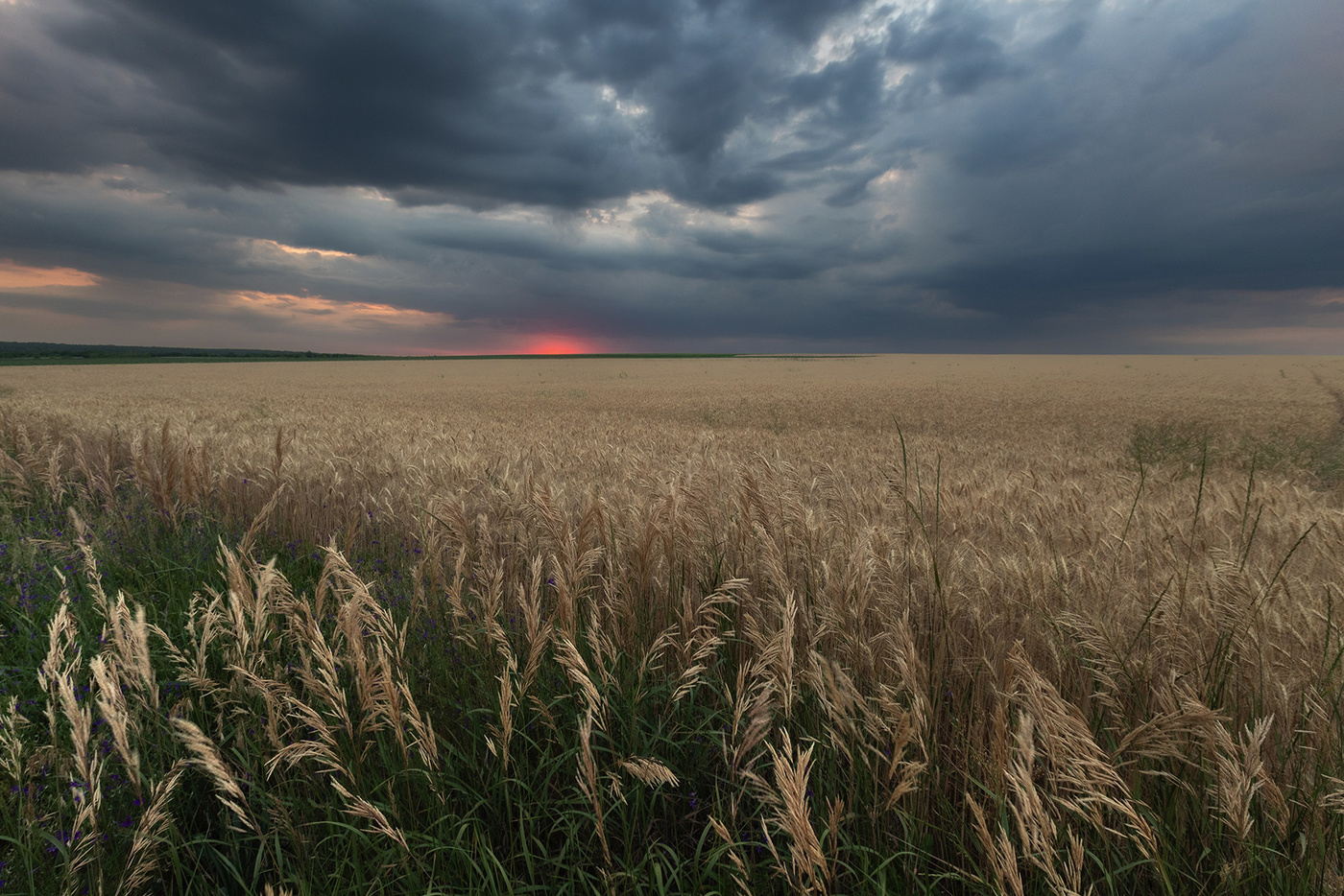 Закатилось