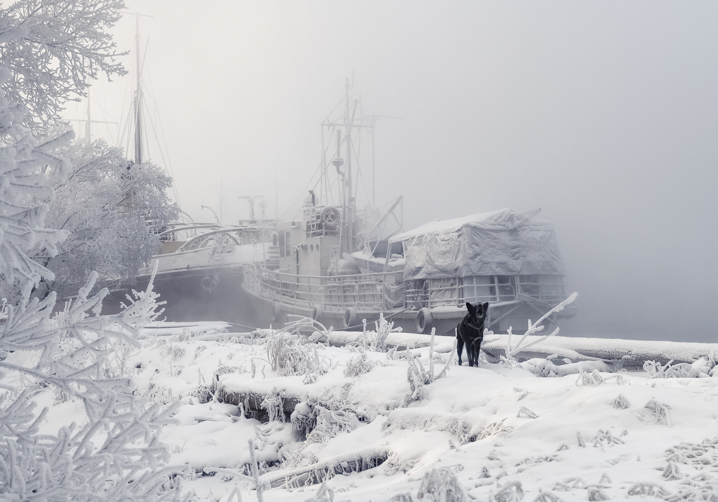 Зимняя стоянка