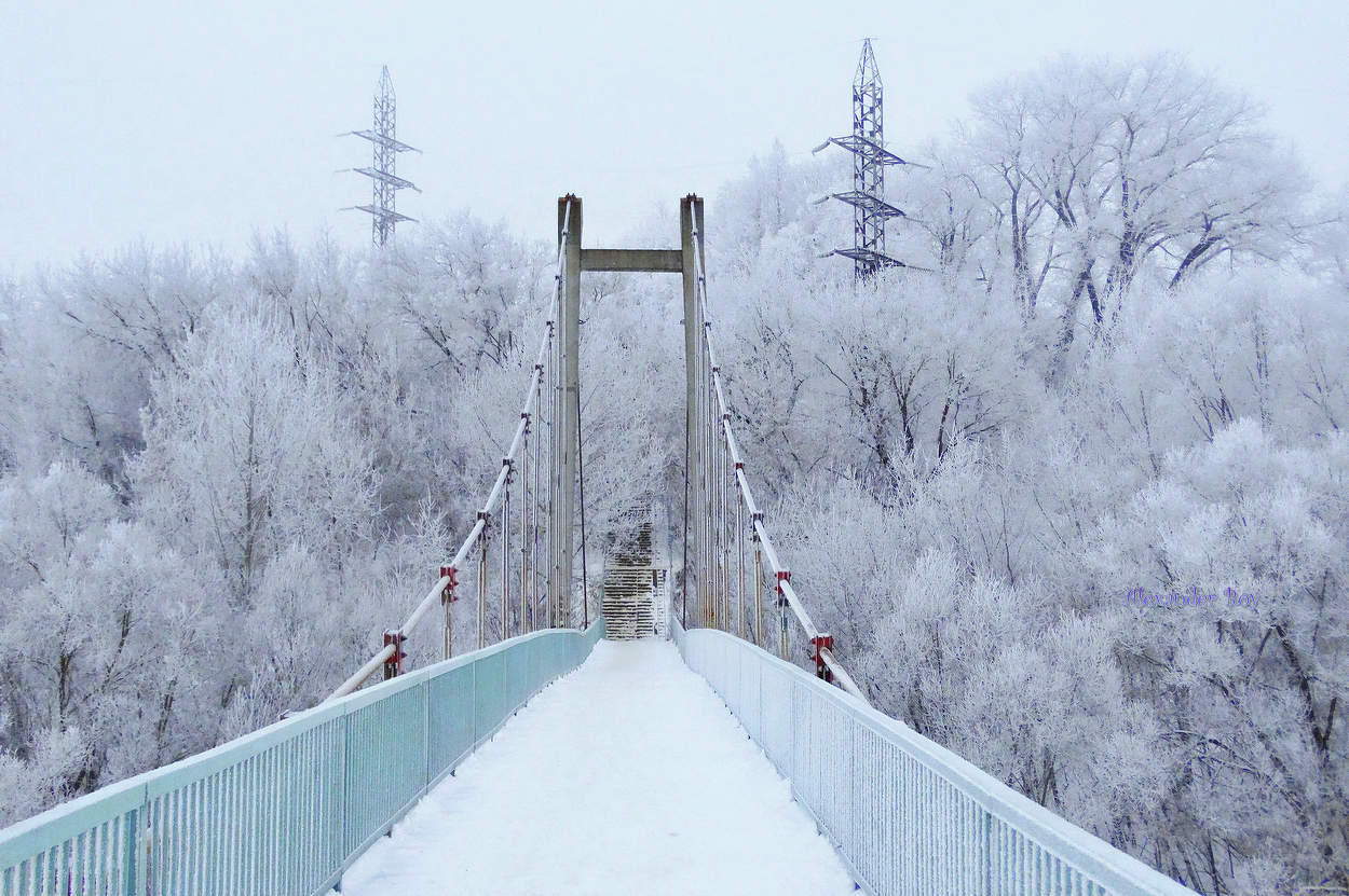 После тепла установились морозы