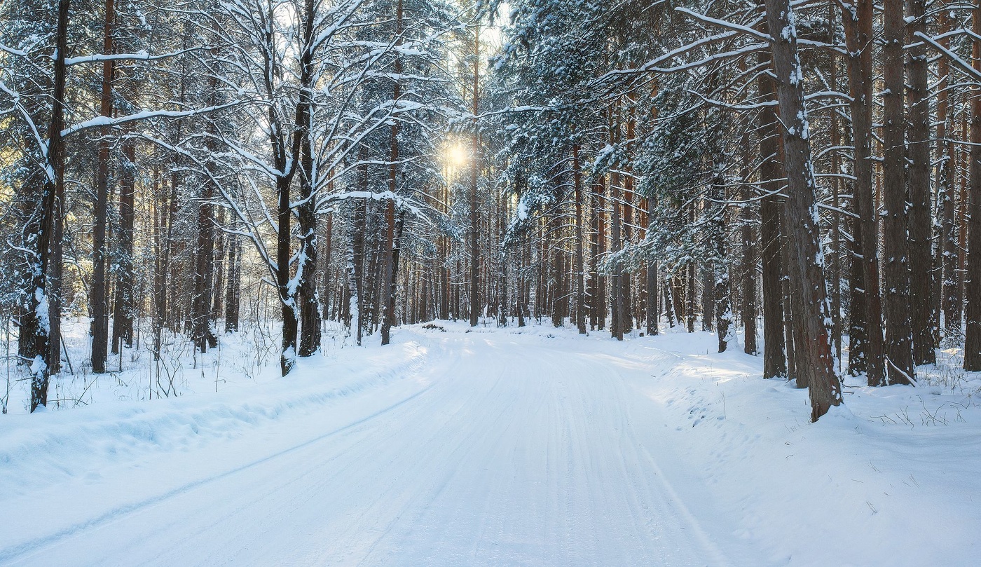 Зимней дорожкой