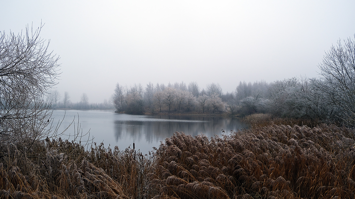 Озеро. Зима.