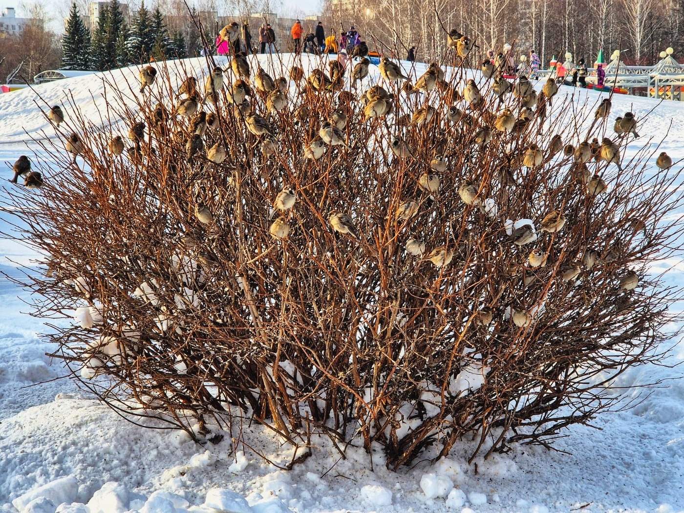 Присели отдохнуть ))