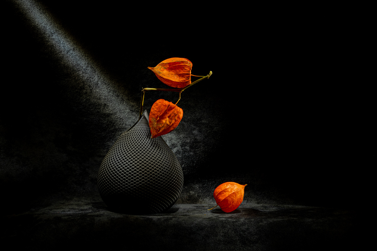 Этюд с физалисом III