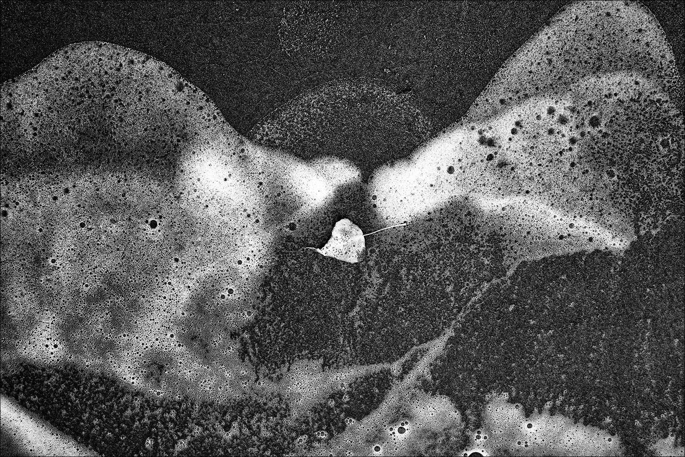 этюдъ с листочком