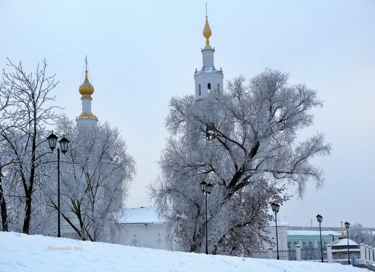 Мороз покрыл инеем природу