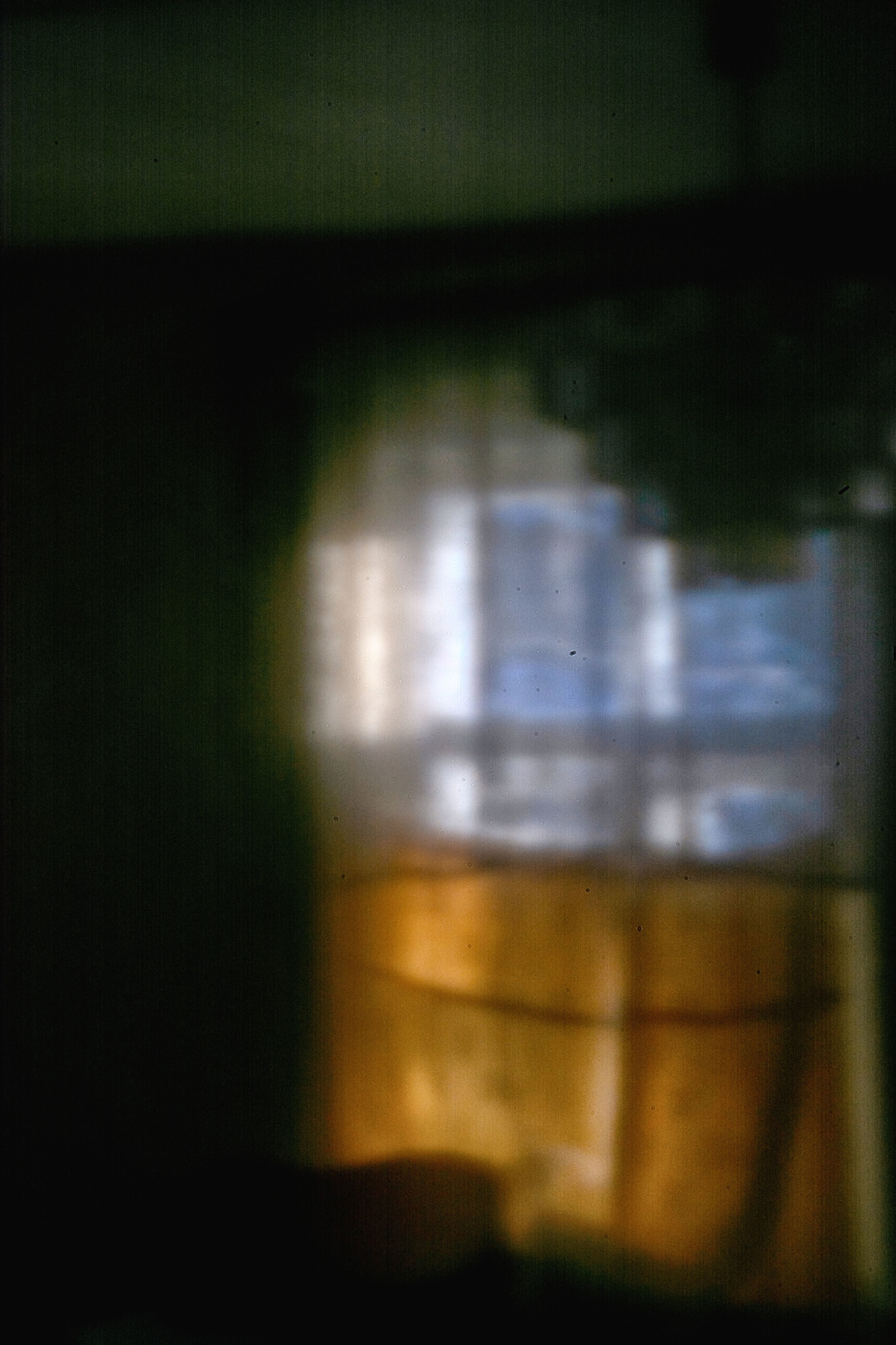 Жизнь вокруг