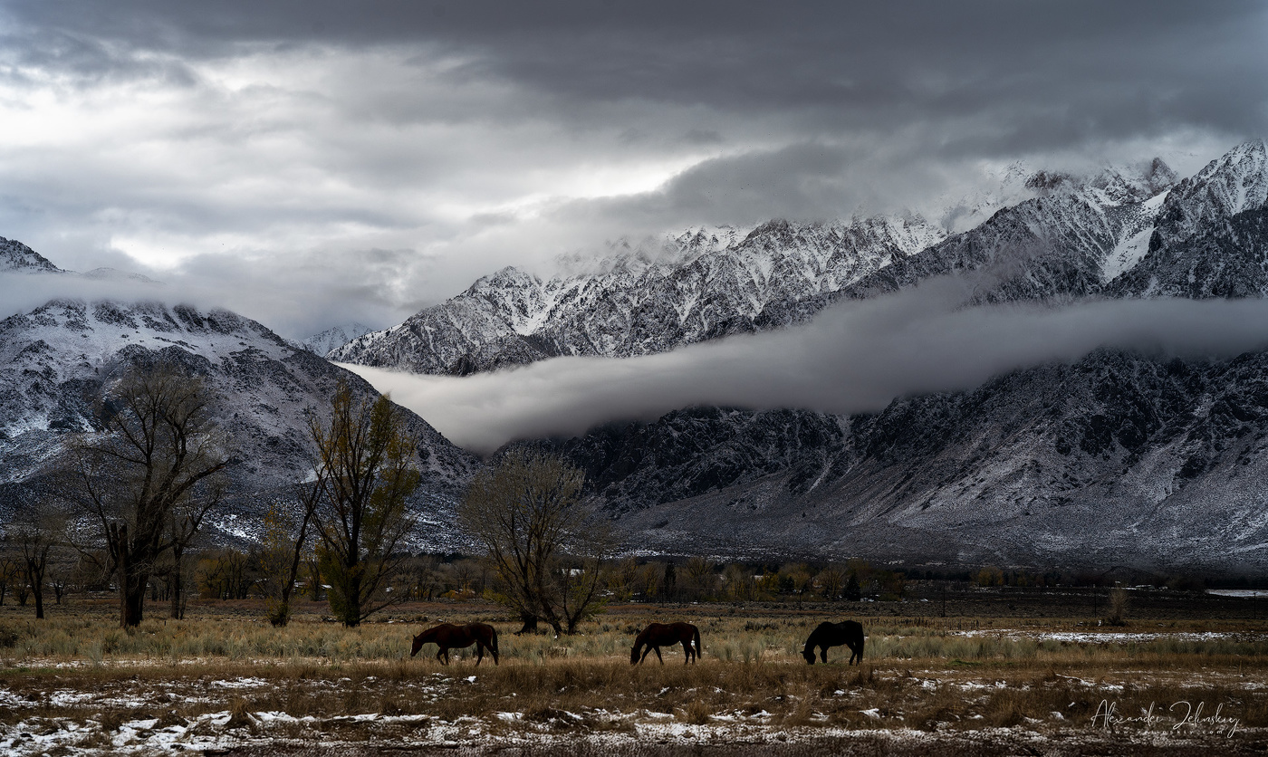 Зима в предгорьях Сьерра Невады