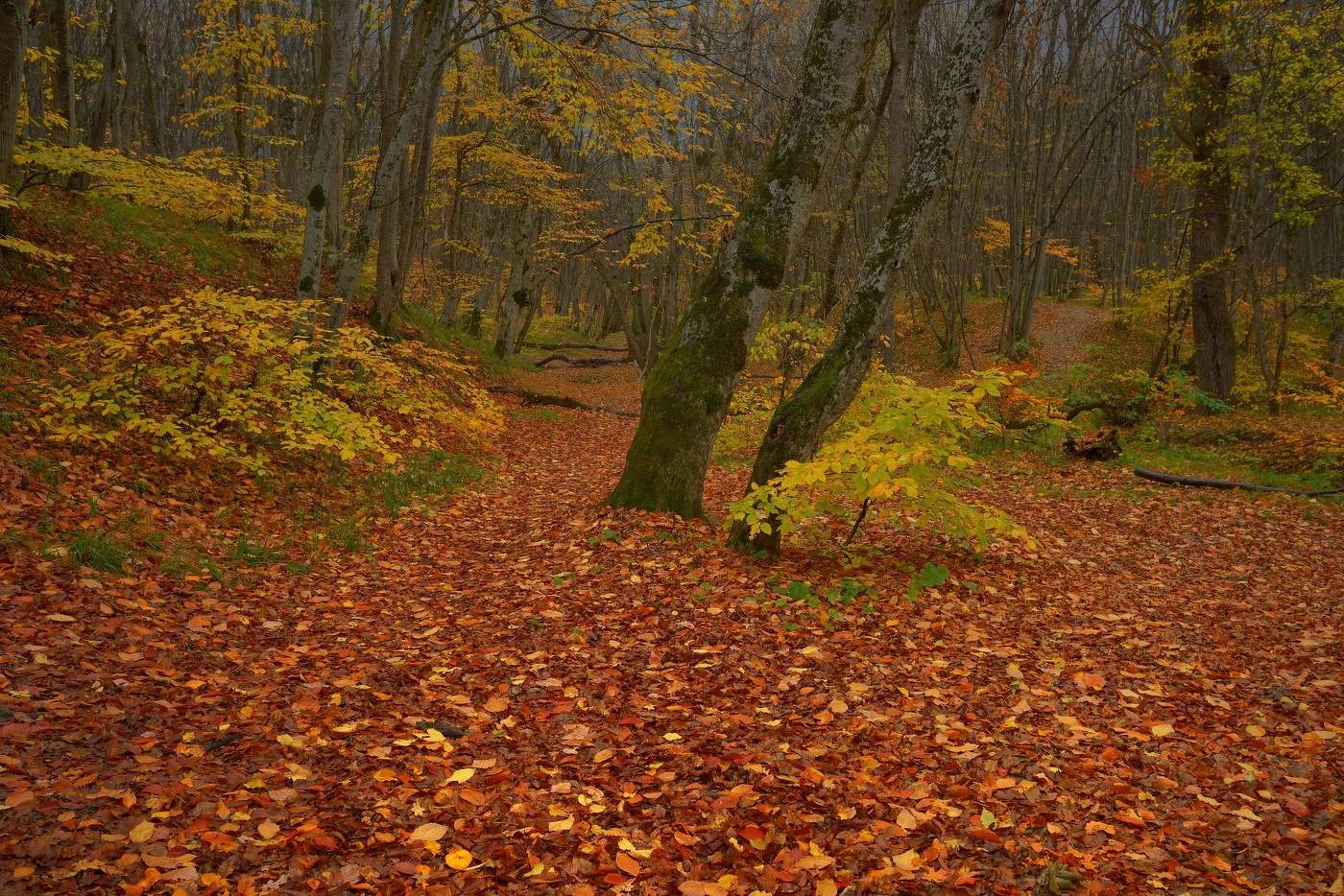 Осенний наряд