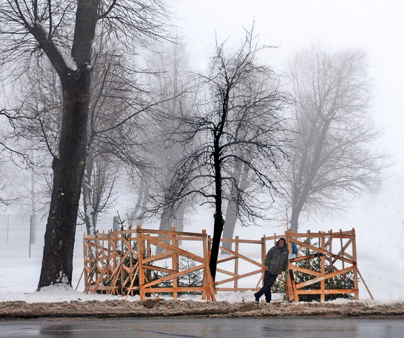 продавец ёлок