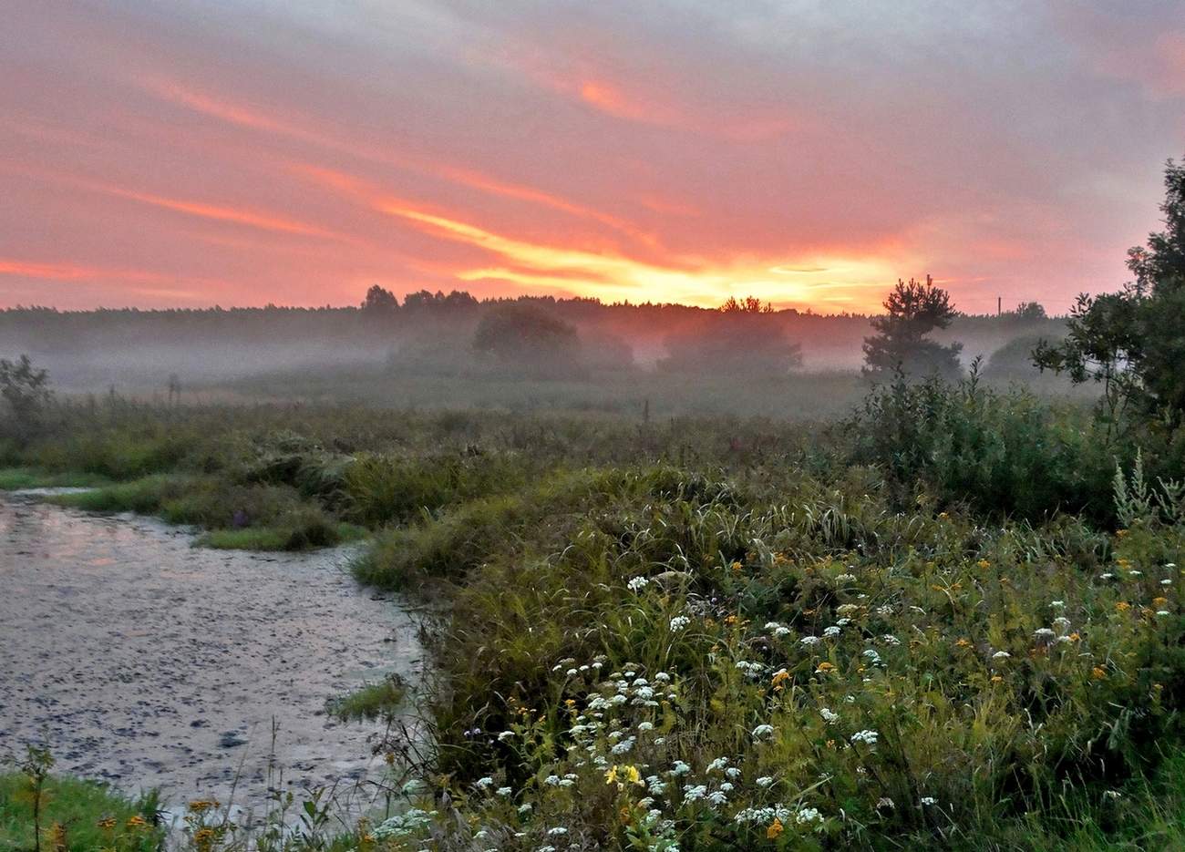 Летняя туманная заря