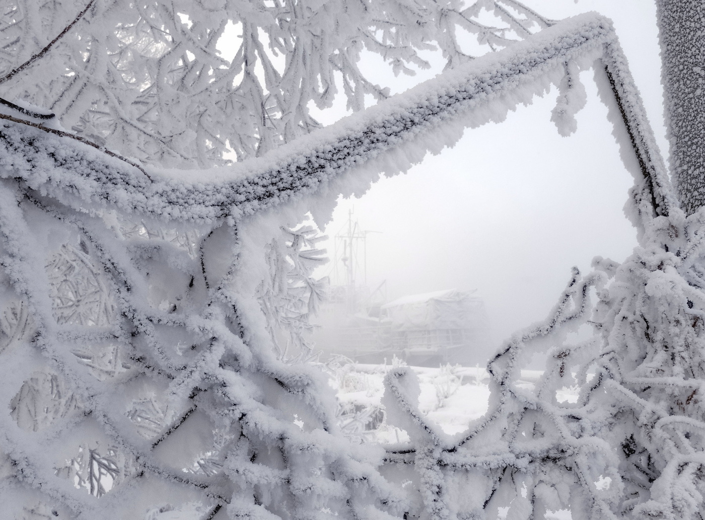 В снежной рамочке