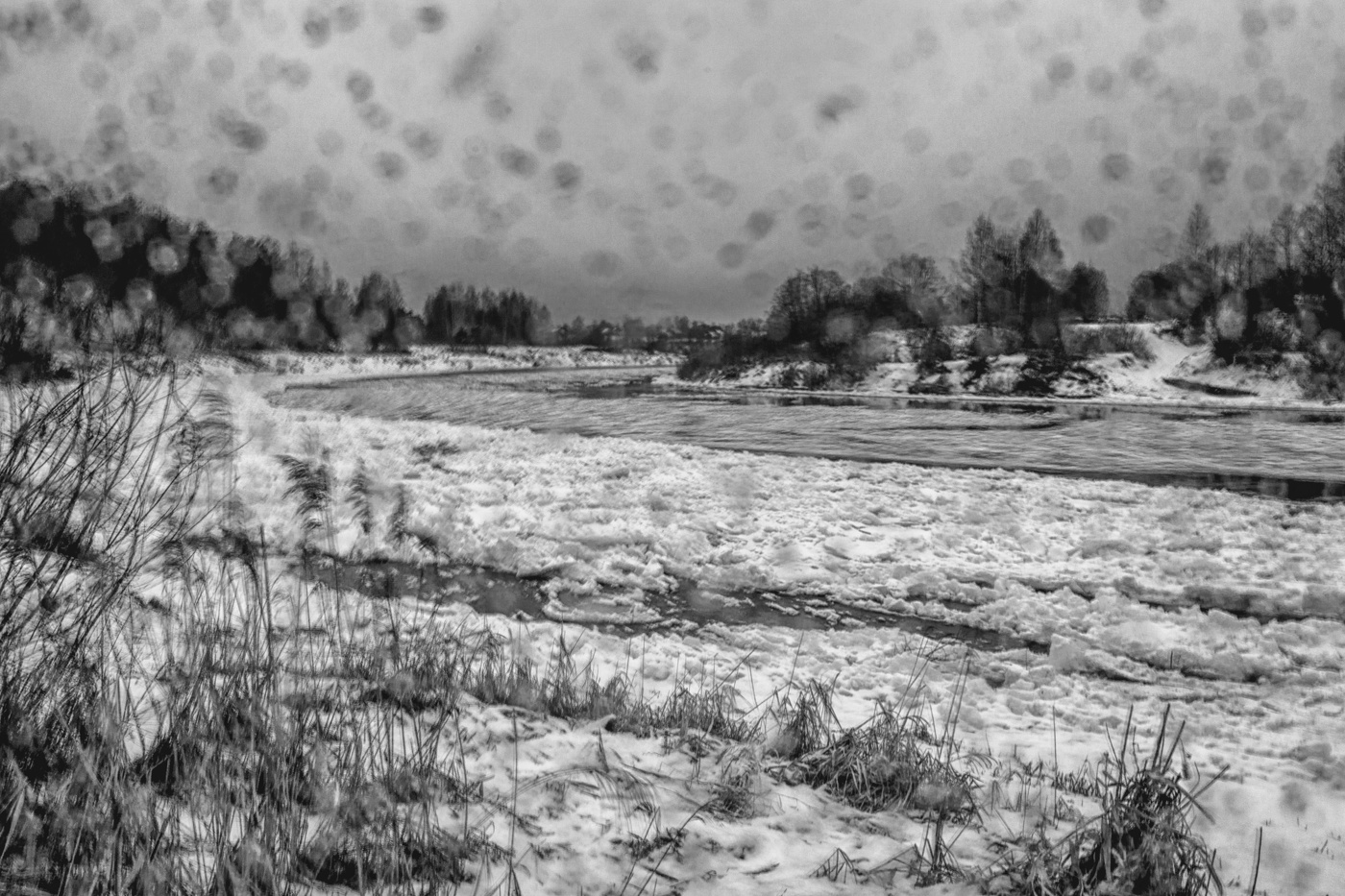 Жизнь вокруг