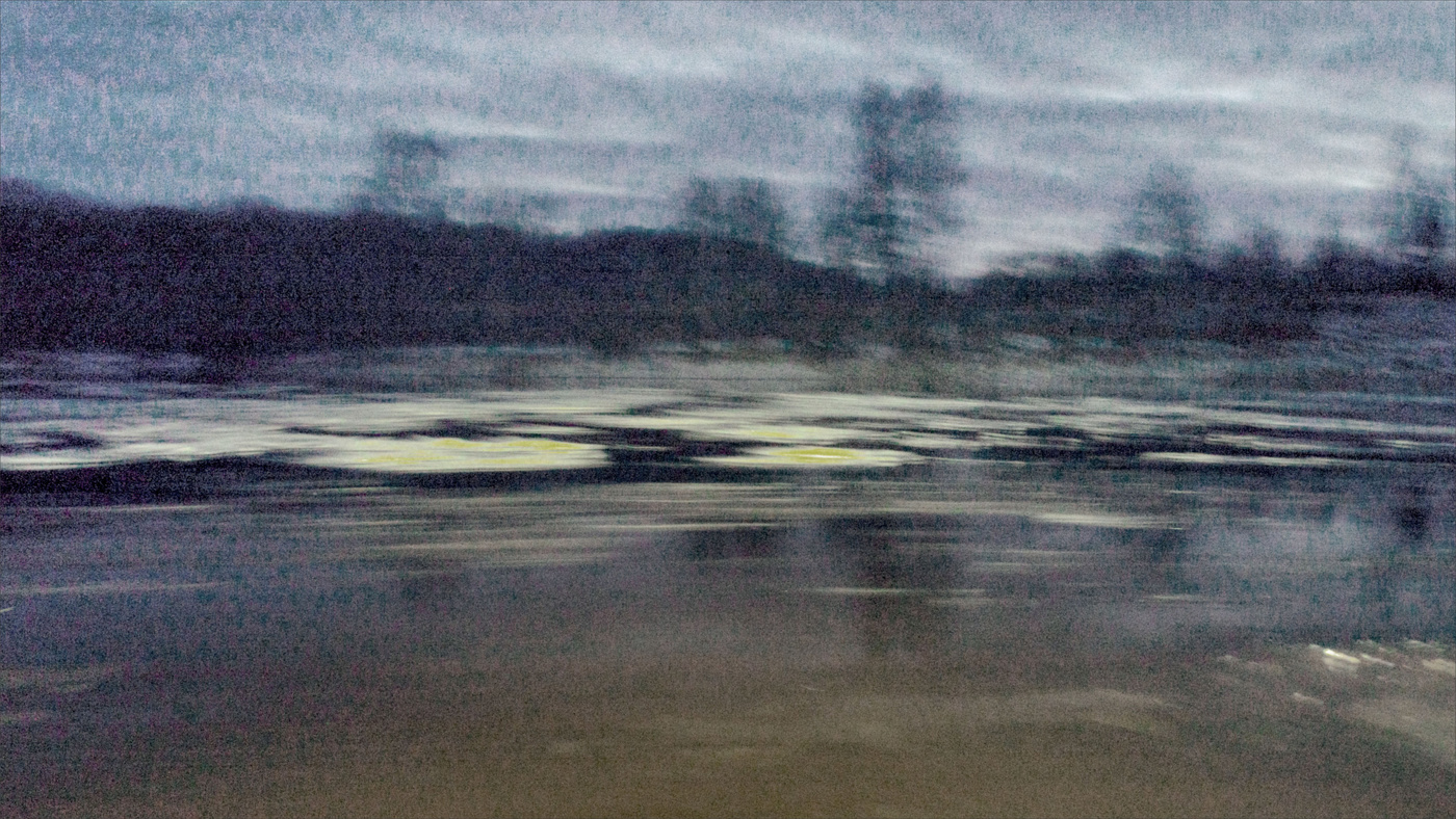 Жизнь вокруг