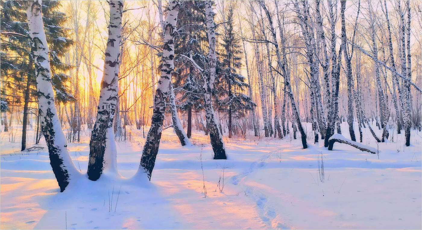 Зимы очарование