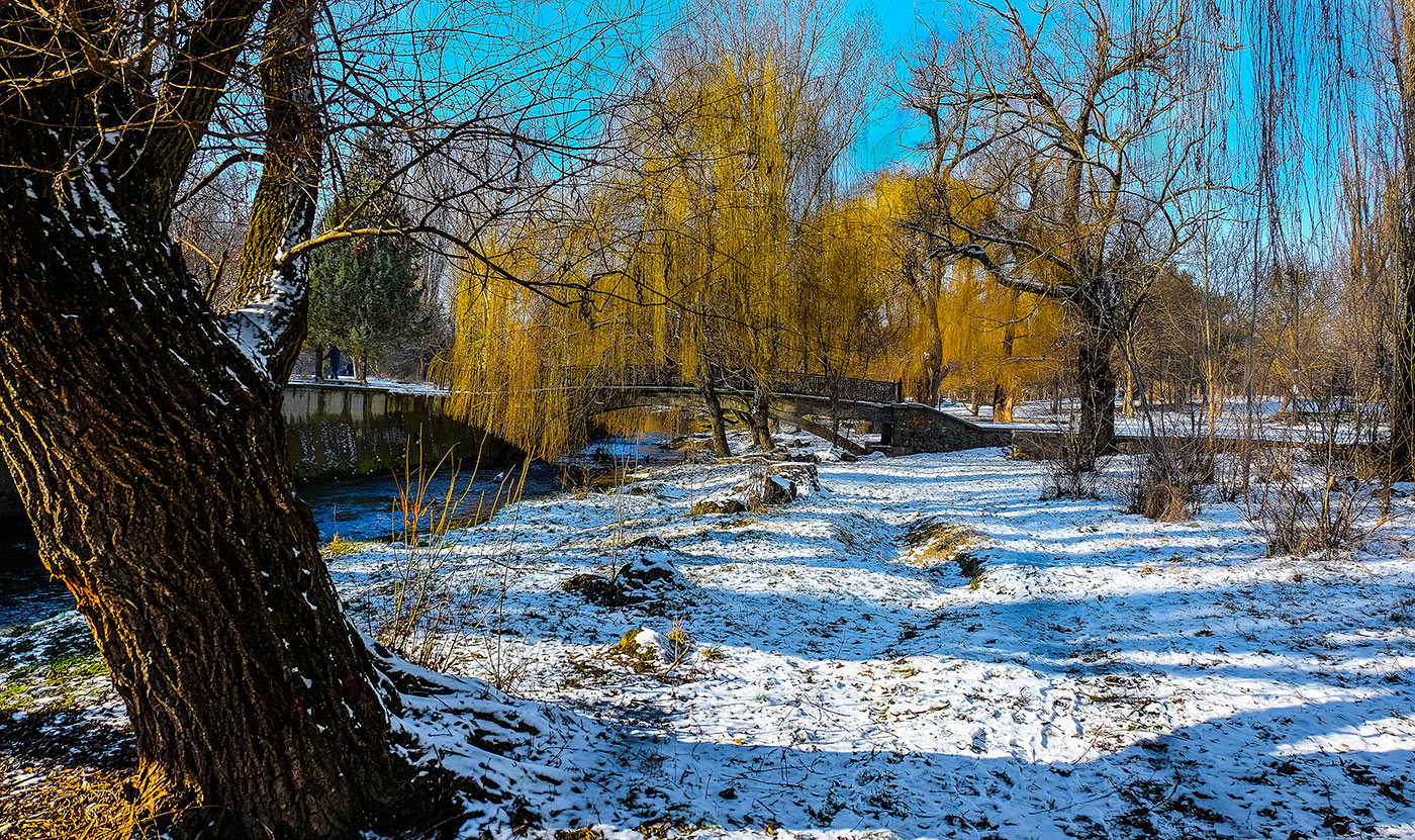 Первый снег