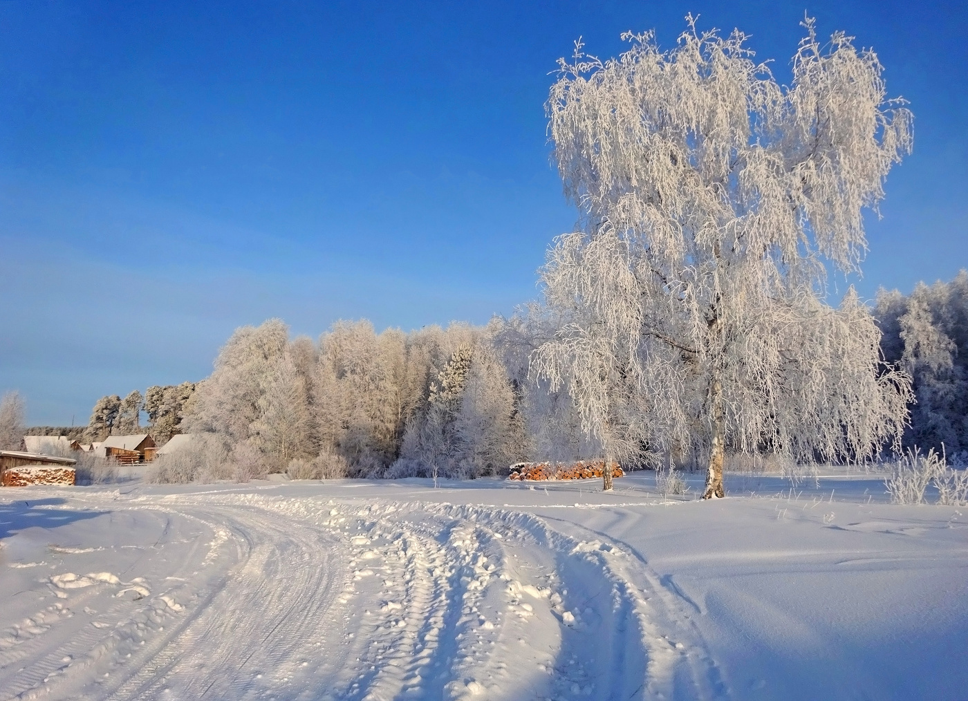 «Чародейка-зима: берёзовая баллада»