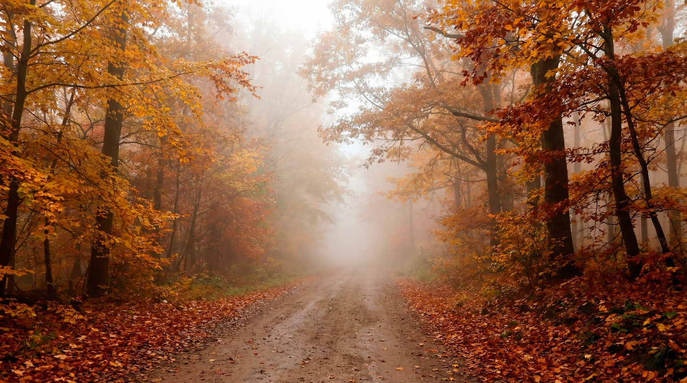 Портал в осень